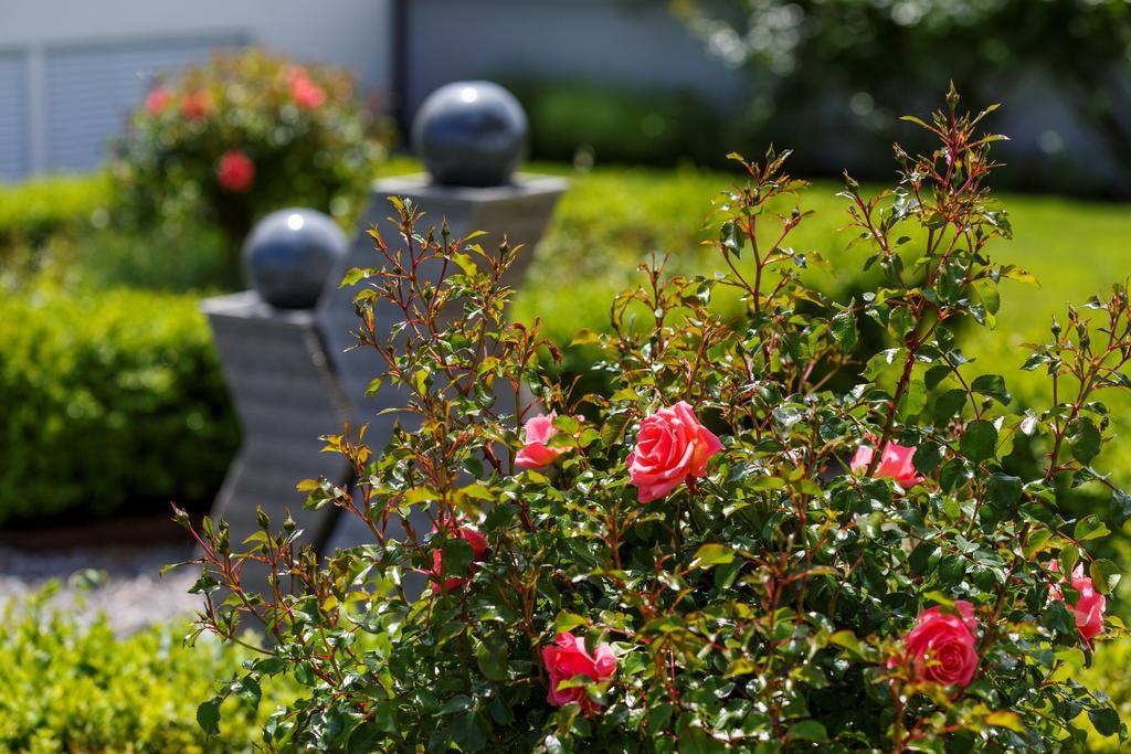 Seemoewe Swiss Quality Hotel Güttingen Εξωτερικό φωτογραφία